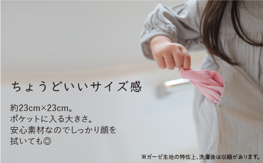 三河木綿 3重織り ガーゼハンカチ 5色セット_【G0308】