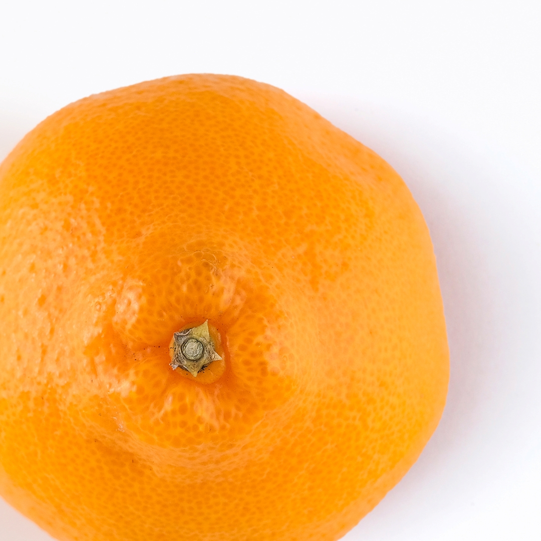 【期間限定】蒲郡みかん「ハウスはるみ」約3kg_【G0331】