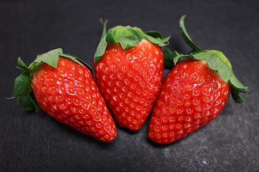 【期間限定】サンベリー蒲郡いちご「あきひめ」（12個入）_【G0358】