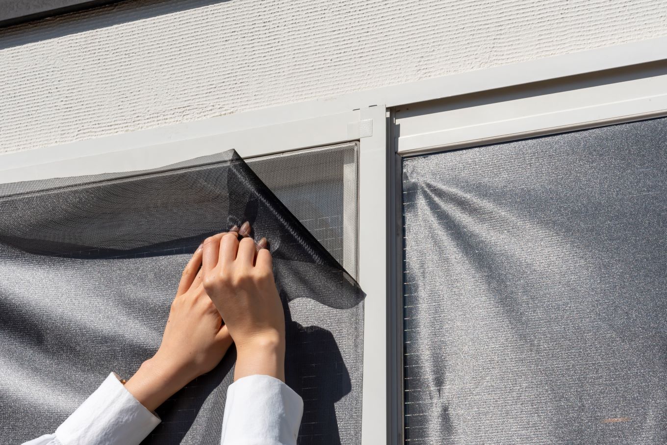 Masaクーリアス_【G0563】