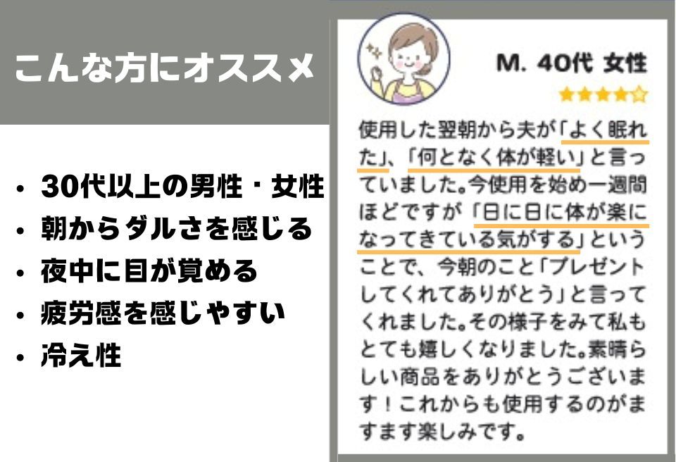 ラジウム温泉の力を取り入れたホルミシス敷パッド(クイーン)_【G0598】