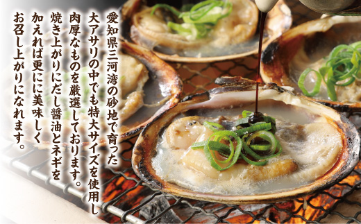 【愛知県三河産】大アサリハーフカット 6個入×2パック_【G0657】