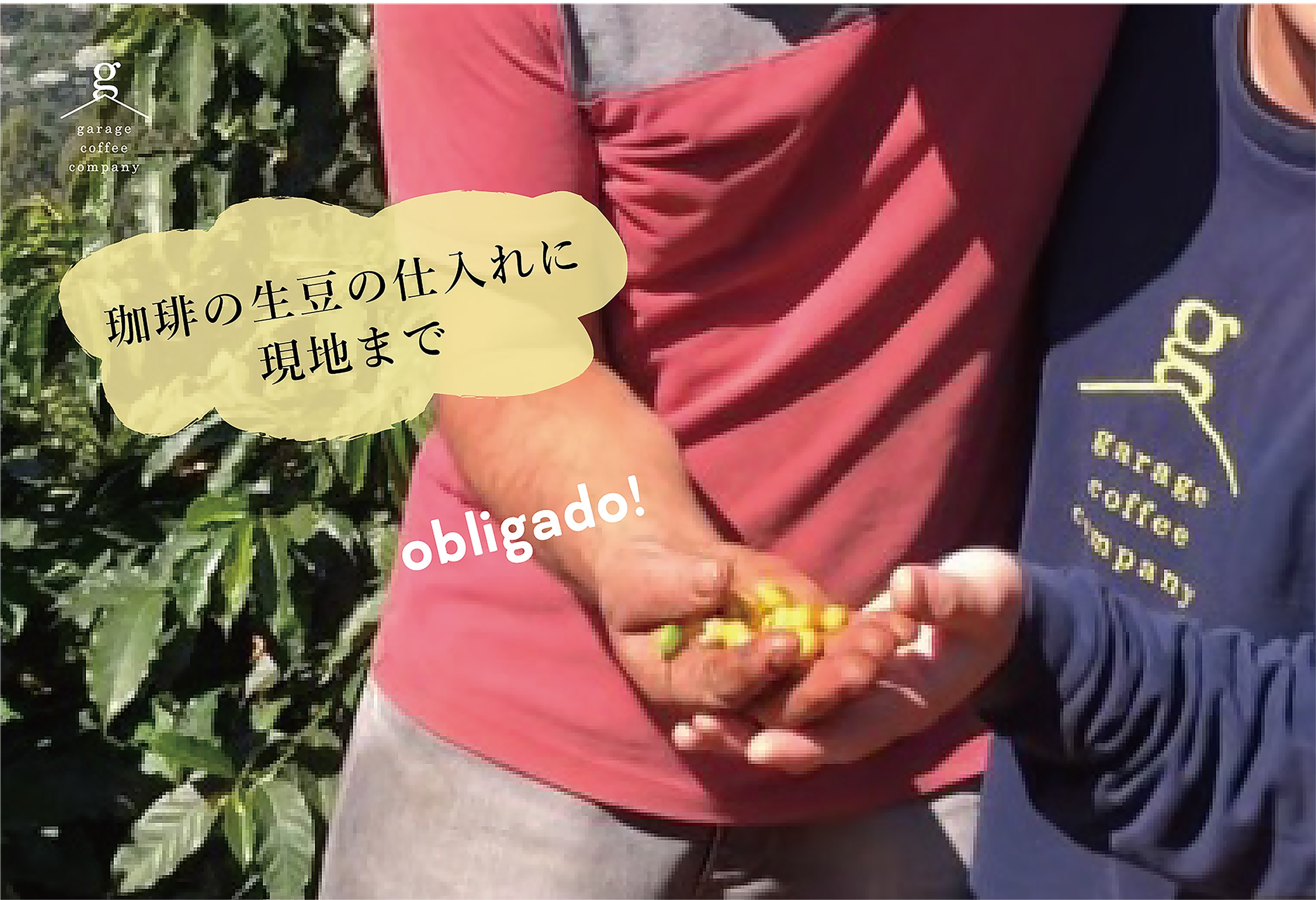 自家焙煎珈琲豆セット(200g×3袋）_豆【G0658】