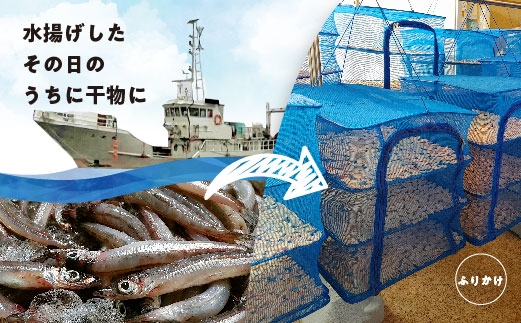 形原漁港直送 深海からの贈物 深海ギョの魚醤とふりかけ　魚醤づくしセット_【G0718】