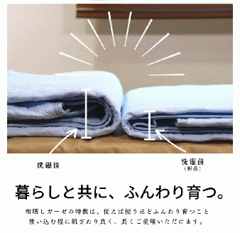 三河産　綿100％使用和晒し　脱脂綿　敷パット　Ｓサイズ_きなり【G0496】 きなり Ｓ