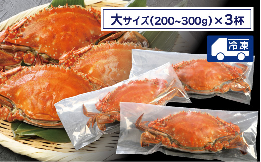 【愛知県三河産】ボイル天然ワタリガニ 大　3杯_【G0654】