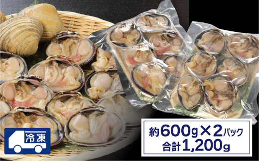 【愛知県三河産】大アサリハーフカット 6個入×2パック_【G0657】