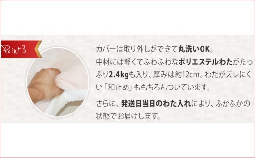 ごろ寝マット　４シーズンズ　７０ｘ１８０ _アイボリーベージュ【G0140】 アイボリーベージュ