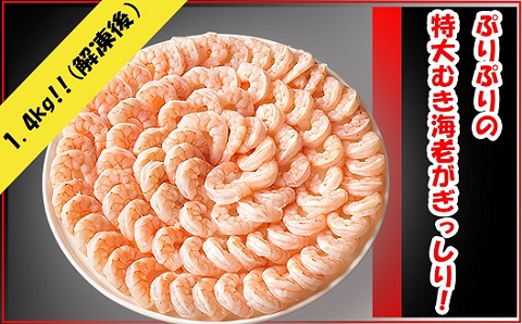 特大ムキエビ 1.4kg_【G0334】