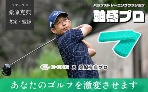 バランストレーニングクッション　軸感プロ_【G0409】