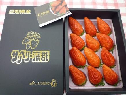 【期間限定】サンベリー蒲郡いちご「あきひめ」（12個入）_【G0358】