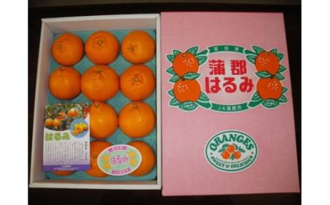 【期間限定】蒲郡みかん「ハウスはるみ」約3kg_【G0331】