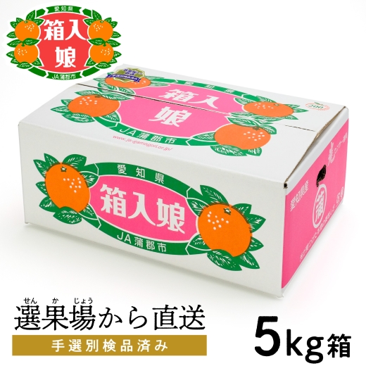 【期間限定】蒲郡みかん「箱入娘」約５kg_【G0002】