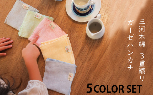 三河木綿 3重織り ガーゼハンカチ 5色セット_【G0308】