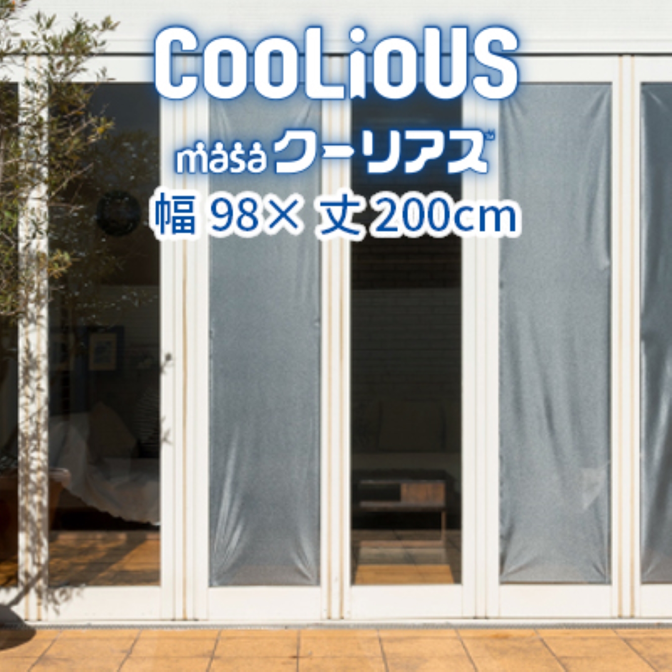 Masaクーリアス_【G0563】