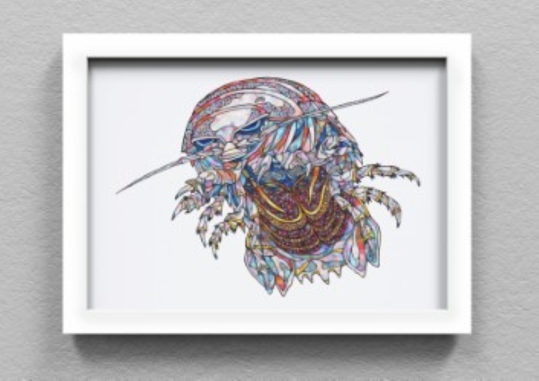 竹島水族館 NAMIKO 生物絵画の複製画_【G0729】