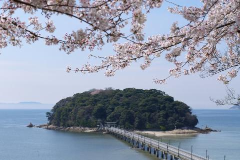 蒲郡市ANAのふるさと納税