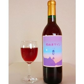 煌めきワイン一番星（赤）2本｜ワイン 赤ワイン 720ml 2本セット 純国産 アルコール 酒 国産ワイン 愛知 愛知県 岐阜 尾張