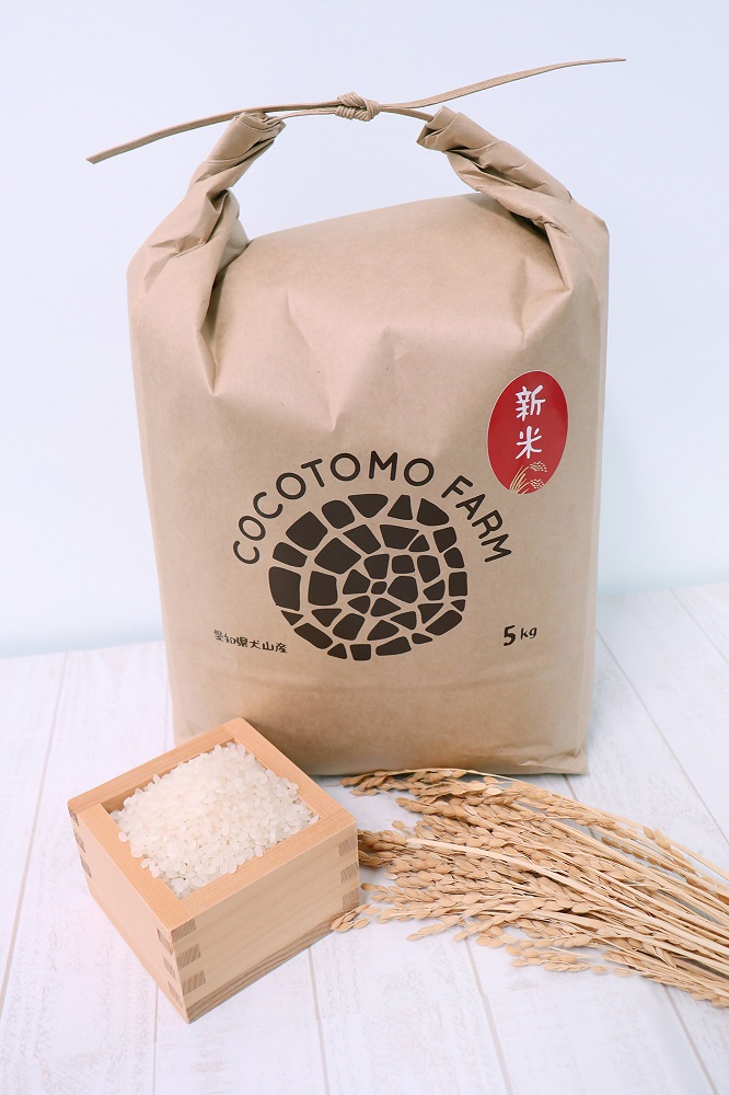【お米農家のお米５kg】つきたてのお米をお届け（５kg×１袋）＊ココトモファームで育てたお米｜米 5kg 5キロ お米 犬山 愛知産 愛知県産 あいちの米 愛知県の特産品 特産品 あいちのこころ 品種 ココトモファーム つきたて 精米 農家 産地直送