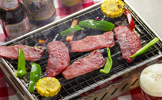 ファミリー焼肉セット (冷凍)｜牛肉 豚肉 鶏肉 ソーセージ 家族 仲間 詰め合わせ バーベキュー BBQ サイトウハム SAITOHAM