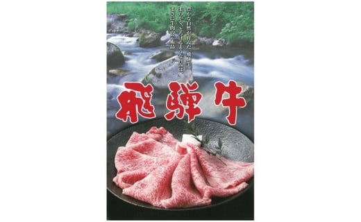 飛騨牛サーロインステーキ ｜ 飛騨牛 サーロイン サーロインステーキ ステーキ用 3枚 600g 肉の小川 飛騨牛一頭買い 一頭買い 牛肉 霜降り 愛知 岐阜 尾張 名古屋