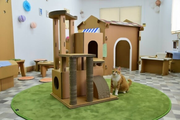 【ダンボール家具・トイ】キャットタワー｜キャットタワー 段ボール 強化ダンボール 爪とぎ ネコちゃん リサイクル 猫ハウス 爪とぎ 運動不足解消 SDGs エコ オリジナル