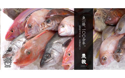 とっとまんま【犬猫用のマグロジャーキー・フレーク・ふりかけ】 | ペットフード ドッグフード キャットフード 犬 猫 おやつ 無添加 マグロ ジャーキー とっとまんま 魚屋 魚 鮪 マグロ ペットのおやつ ペット いぬ ねこ 犬のおやつ 猫のおやつ 魚錠