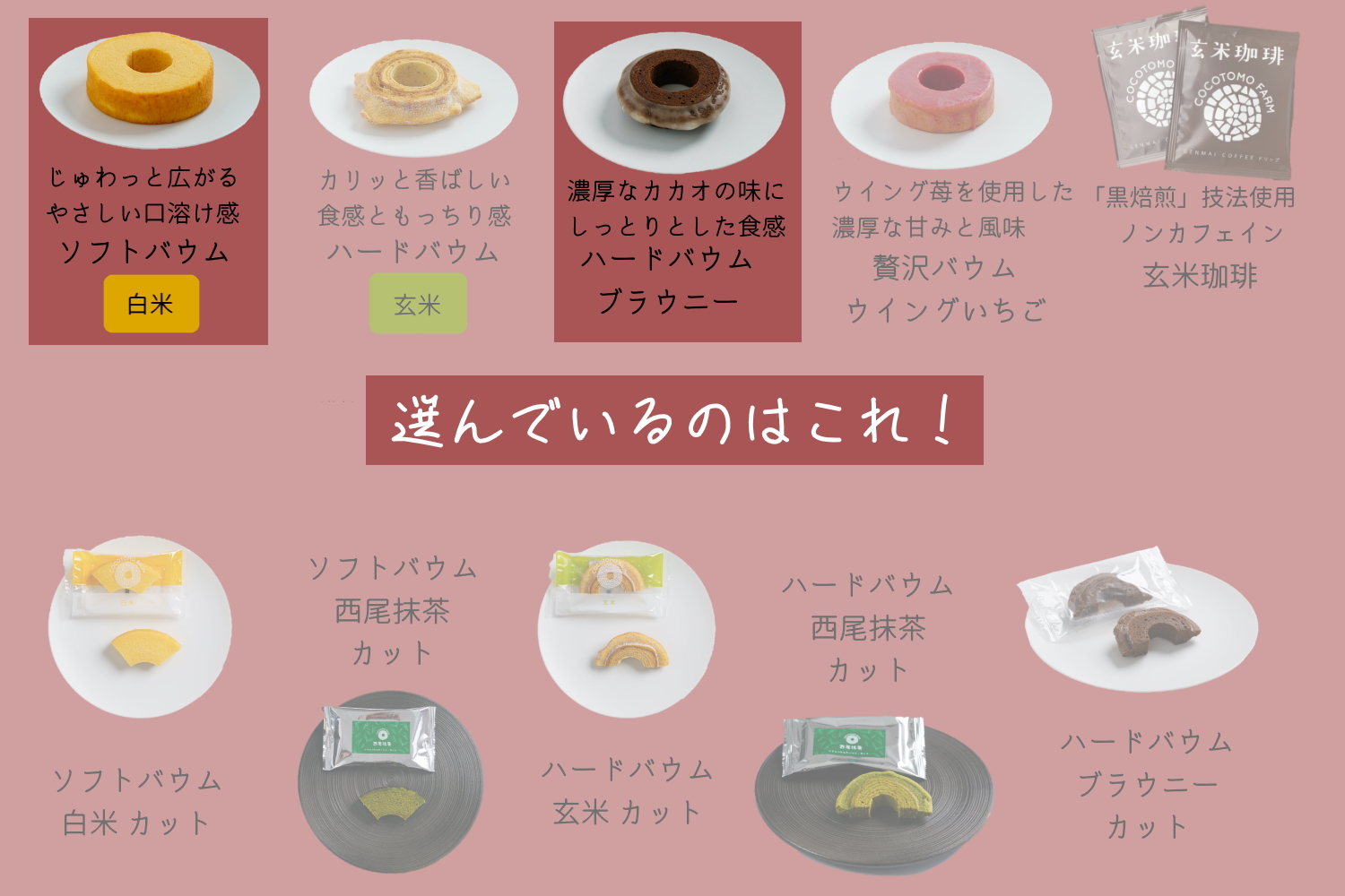 自家製生米粉100%のしっとりバウムクーヘンが人気　ココトモBOX　CB-021｜バウムクーヘン お米 米粉 ソフト 白米 ブラウニー セット 詰め合わせ スイーツ デザート ココトモ プチギフトバームクーヘン ヘルシー グルテンフリー愛知 尾張