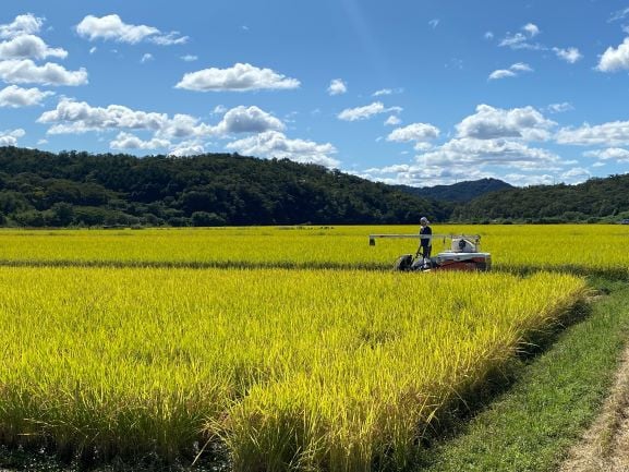 自家製生米粉100%のしっとりバウムクーヘンが人気　ココトモBOX　CB-050-10｜バウムクーヘン お米 米粉 ソフト 白米 セット 詰め合わせ スイーツ デザート ココトモ プチギフトバームクーヘン ヘルシー グルテンフリー愛知 尾張
