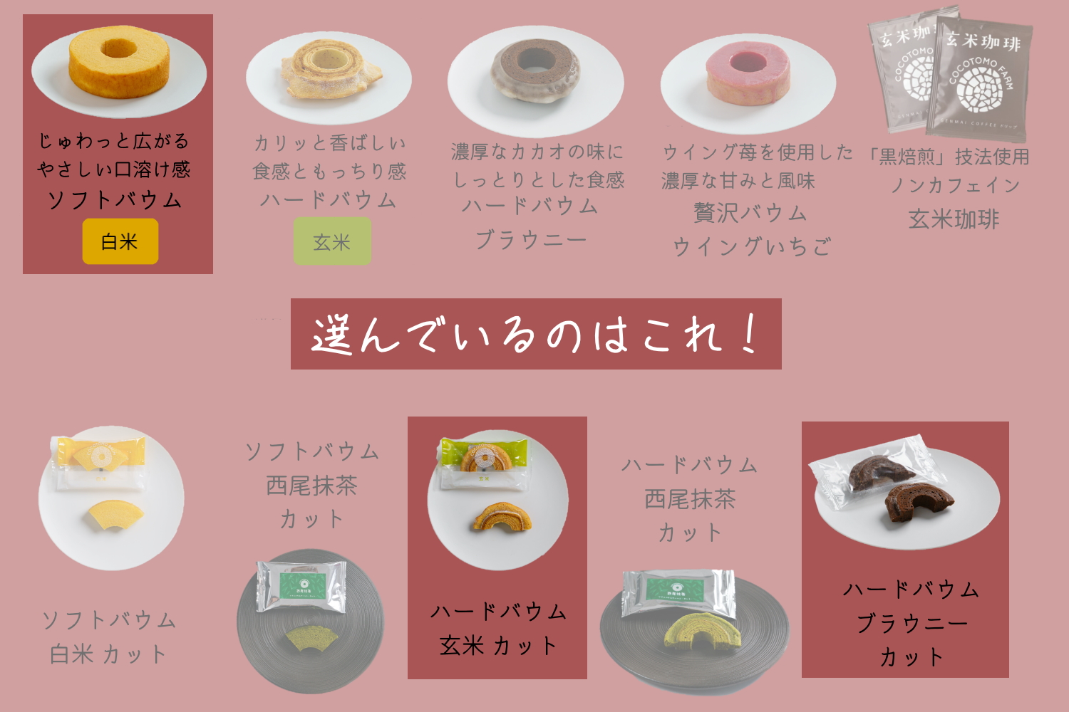 自家製生米粉100%のしっとりバウムクーヘンが人気　ココトモBOX　CB-030｜バウムクーヘン お米 米粉 ソフト 白米 ブラウニー セット 詰め合わせ スイーツ デザート ココトモ プチギフトバームクーヘン ヘルシー グルテンフリー愛知 尾張