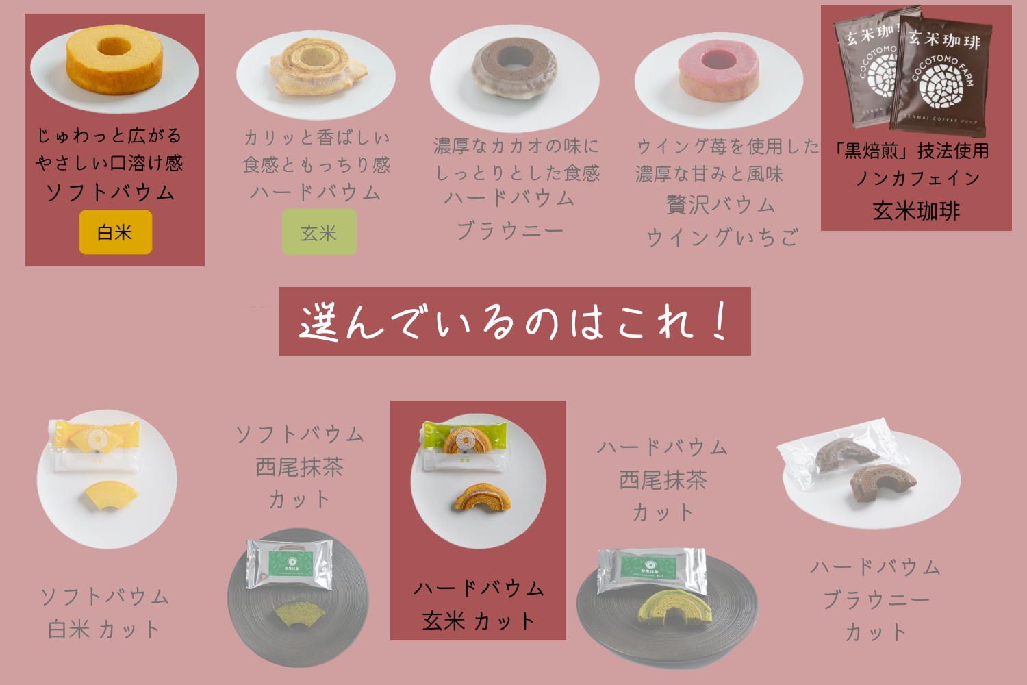 自家製生米粉100%のしっとりバウムクーヘンが人気　ココトモBOX　CB-062｜バウムクーヘン お米 米粉 ソフト 玄米 白米 セット 詰め合わせ スイーツ デザート ココトモ プチギフトバームクーヘン ヘルシー グルテンフリー愛知 尾張 ノンカフェイン 玄米珈琲