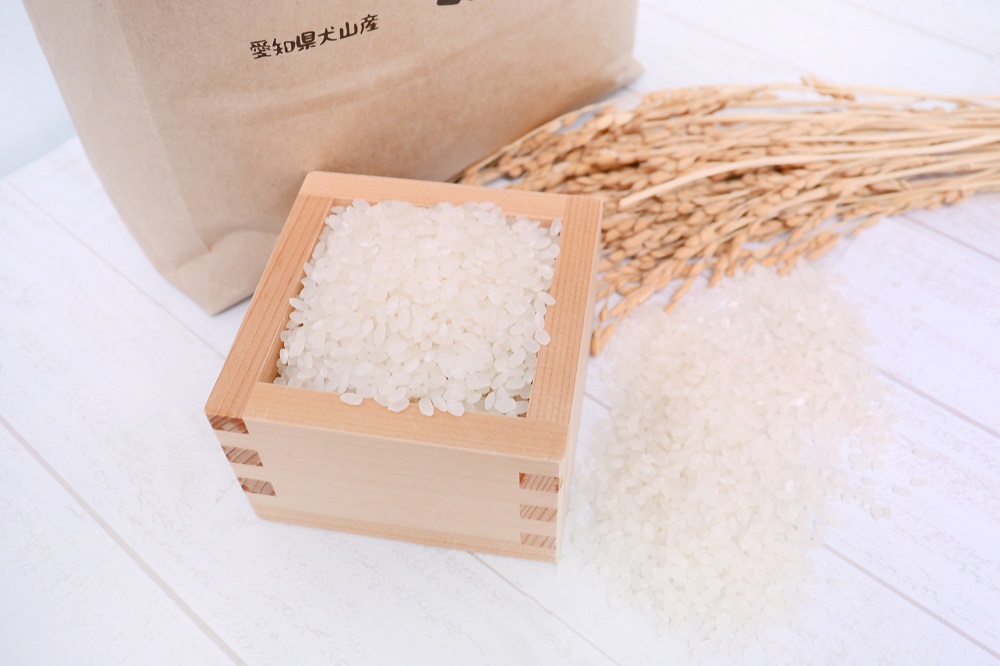 【お米農家のお米５kg】つきたてのお米をお届け（５kg×１袋）＊ココトモファームで育てたお米｜米 5kg 5キロ お米 犬山 愛知産 愛知県産 あいちの米 愛知県の特産品 特産品 あいちのこころ 品種 ココトモファーム つきたて 精米 農家 産地直送