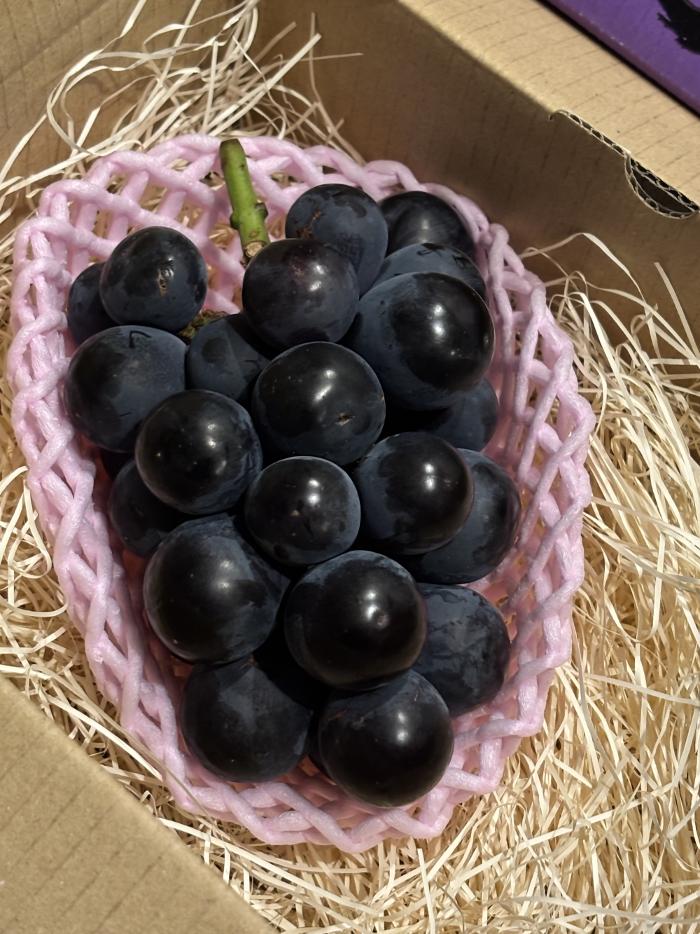 【2026年先行予約】犬山市楽田産 葡萄（シャインマスカット、ナガノパープル）詰め合わせ ｜ ぶどう 葡萄 マスカット 甘い 詰め合わせ 夏 美楽田ファーム すこやか自然農園 房 ブドウ 犬山 ご自宅用 贈答 贈り物 プレゼント ご褒美 シャインマスカット ナガノパープル 種なし 皮ごと