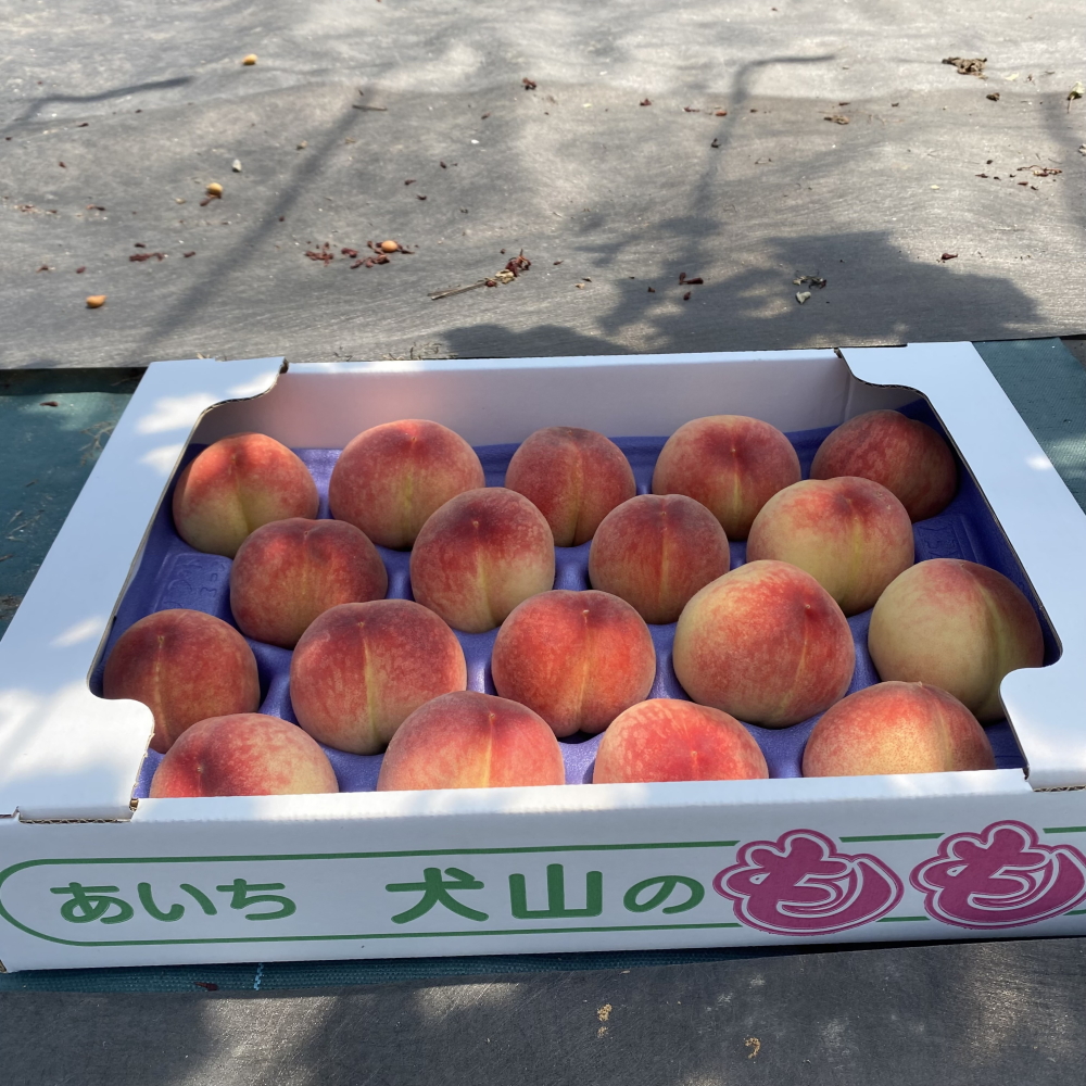 【2026年先行予約】犬山市楽田産 桃（さくひめ）3kg ｜ 桃 甘い 詰め合わせ 3kg さくひめ 美楽田ファーム すこやか自然農園 もも モモ 犬山 ご自宅用 贈答 贈り物 プレゼント ご褒美 楽田 愛知県