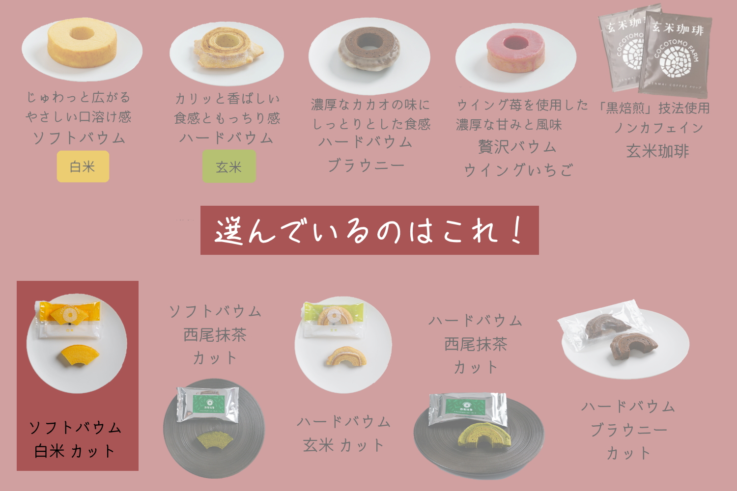 自家製生米粉100%のしっとりバウムクーヘンが人気　ココトモBOX　CB-050-10｜バウムクーヘン お米 米粉 ソフト 白米 セット 詰め合わせ スイーツ デザート ココトモ プチギフトバームクーヘン ヘルシー グルテンフリー愛知 尾張
