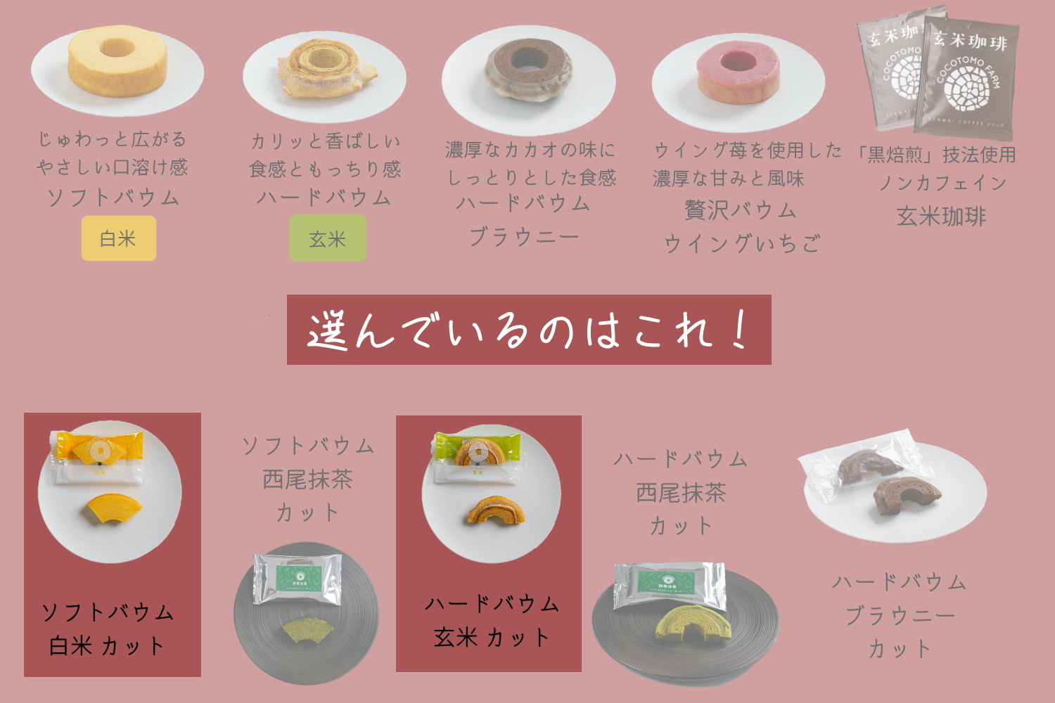 自家製生米粉100%のしっとりバウムクーヘンが人気　ココトモBOX　CB-051-10｜バウムクーヘン お米 米粉 ソフト 白米 玄米 セット 詰め合わせ スイーツ デザート ココトモ プチギフトバームクーヘン ヘルシー グルテンフリー愛知 尾張