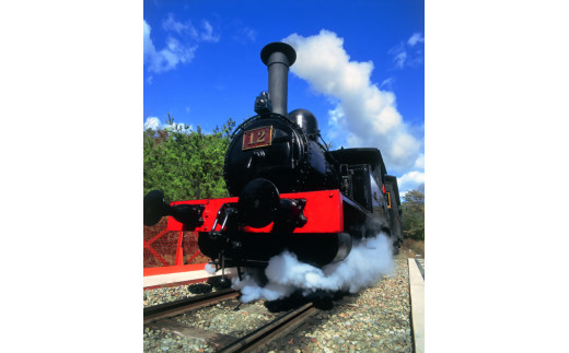 博物館明治村 入村券（２名分） | お出かけ 観光 チケット 犬山 体験 ロケ地 明治 明治村 体験 歴史 博物館 グルメ イベント タイムスリップ チケット テーマパーク 謎解き 家族旅行 デート 観光 スポット 春休み 夏休み 冬休み 旅行 2人分 愛知 岐阜