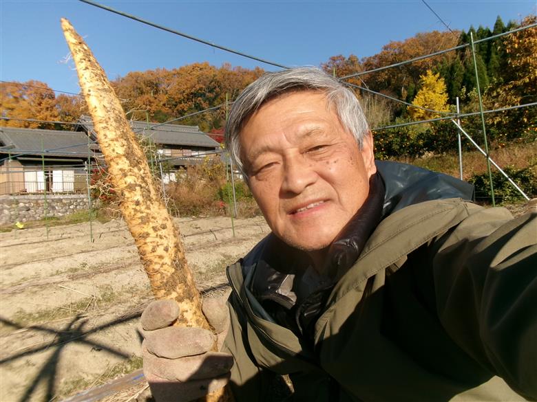 『夢とろろ』味付き冷凍自然薯　6個パック | 6個 自然薯 じねんじょ 冷凍 解凍 味付 夢とろろ 簡単 とろろ 味付き冷凍自然薯 味付き自然薯 味付き冷凍じねんじょ 冷凍自然薯 味付きとろろ 山芋 やまいも 野菜 根菜 健康 美容