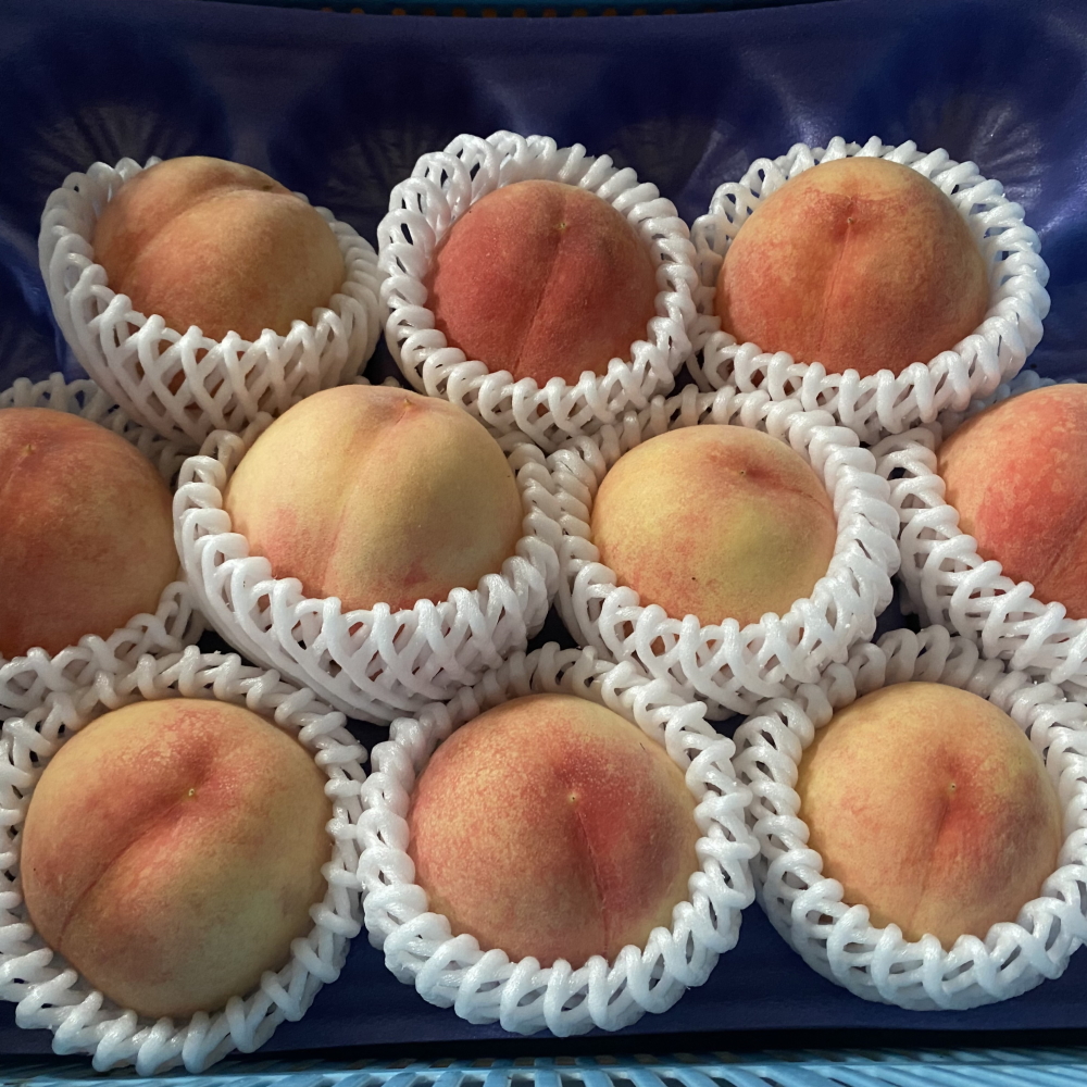 【2026年先行予約】犬山市楽田産 桃（さくひめ）3kg ｜ 桃 甘い 詰め合わせ 3kg さくひめ 美楽田ファーム すこやか自然農園 もも モモ 犬山 ご自宅用 贈答 贈り物 プレゼント ご褒美 楽田 愛知県