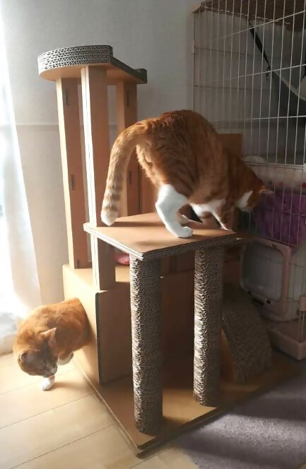 【ダンボール家具・トイ】キャットタワー｜キャットタワー 段ボール 強化ダンボール 爪とぎ ネコちゃん リサイクル 猫ハウス 爪とぎ 運動不足解消 SDGs エコ オリジナル