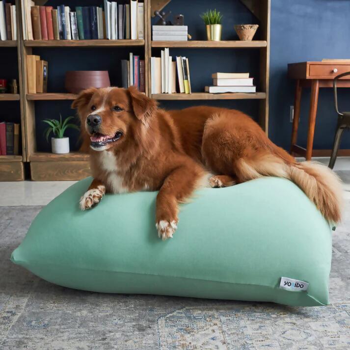 Yogibo Mini（ブラック）｜ ヨギボー ミニ ビーズクッション クッション ソファ チェア リラックス 1人用 ビーズソファ Mini カラフル かわいい おしゃれ 愛知県 岐阜県 名古屋 Yogibo