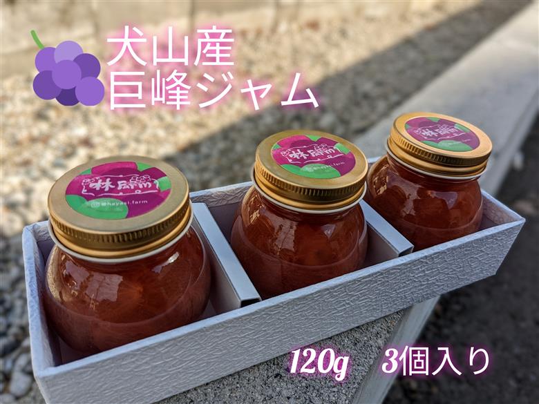 犬山産「巨峰ジャム」120g　3個入り ｜ ジャム セット 3個 ぶどう ブドウ 巨峰 洋菓子 和菓子