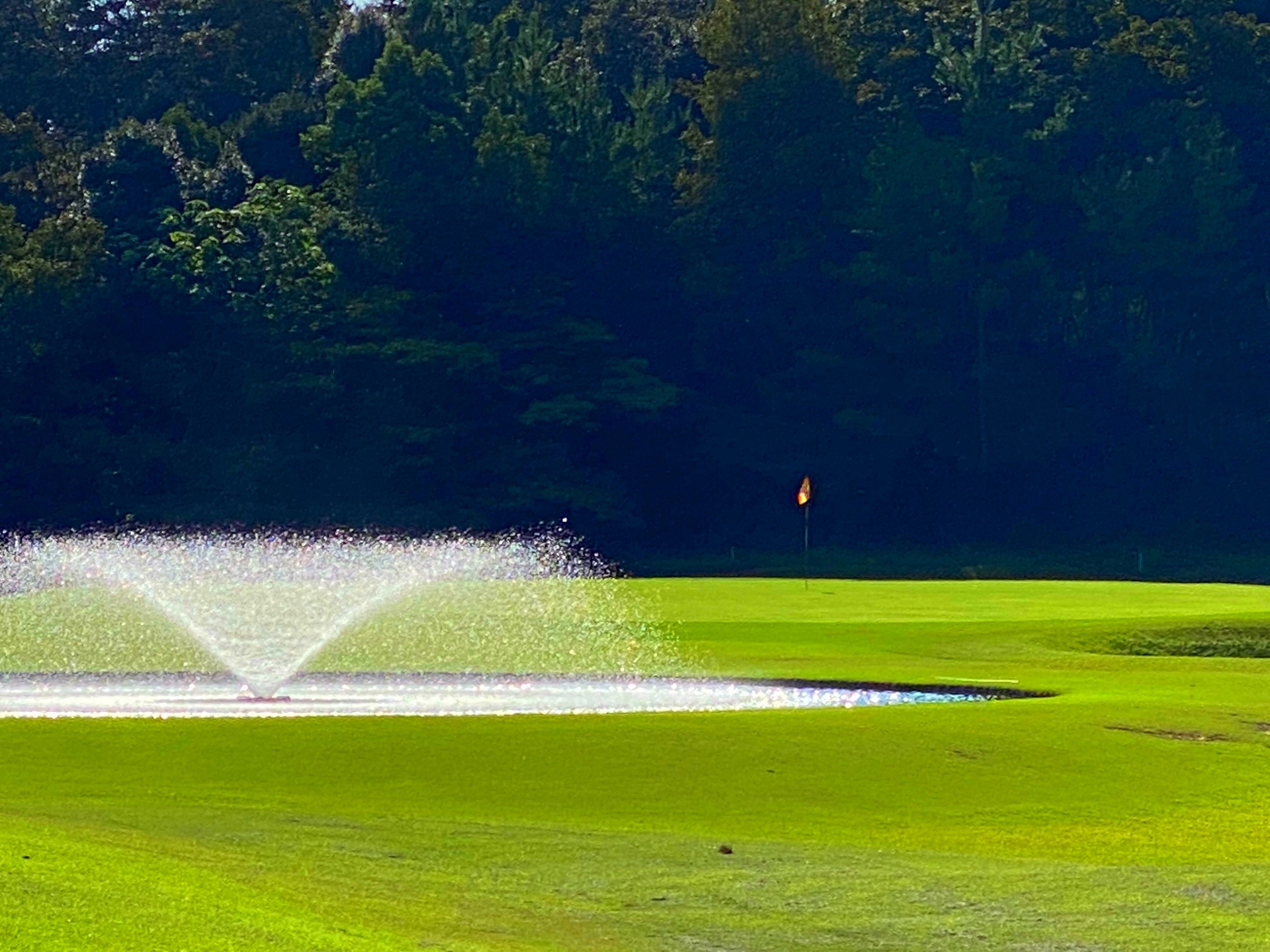 犬山カンツリー倶楽部  倶楽部利用券（３枚） | 犬山カンツリー ゴルフ ゴルフ場 ゴルフ場利用券 利用券 ゴルフチケット チケット お出かけ 犬山 体験 小旅行 休暇 愛知 岐阜 尾張 名古屋