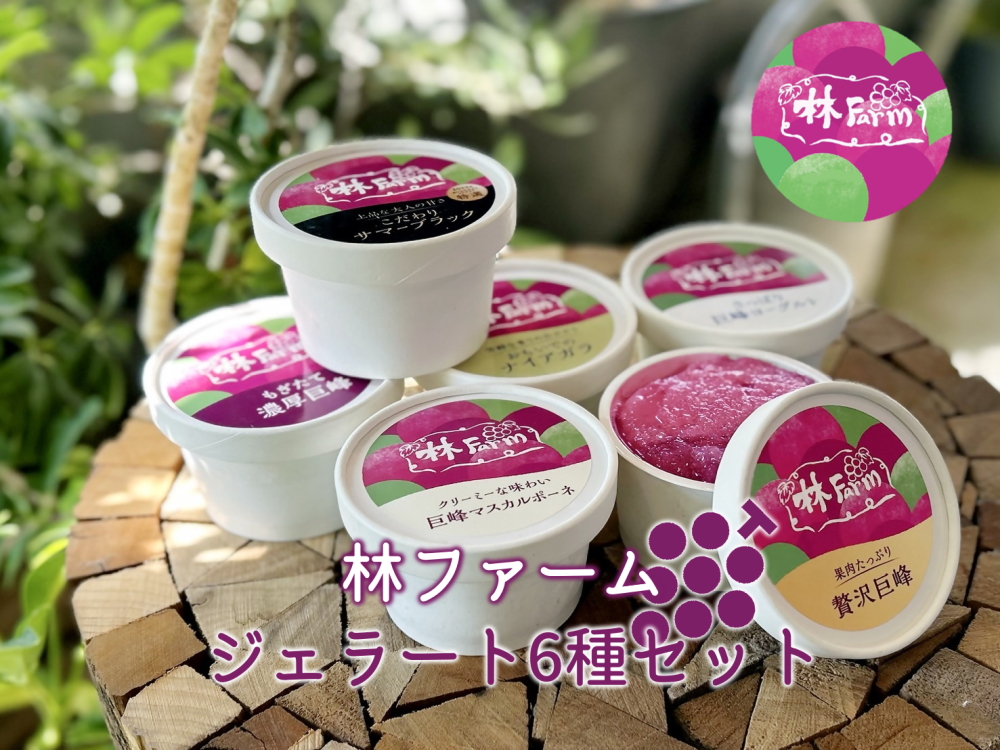 林ファームスペシャルぶどうジェラートセット(６種類×１個） ｜ ジェラート アイス ソルベ スイーツ デザート 洋菓子 セット 詰め合わせ 6個 ぶどう ブドウ 巨峰 サマーブラック ヨーグルト 白ぶどう マスカルポーネチーズ ナイアガラ 果肉