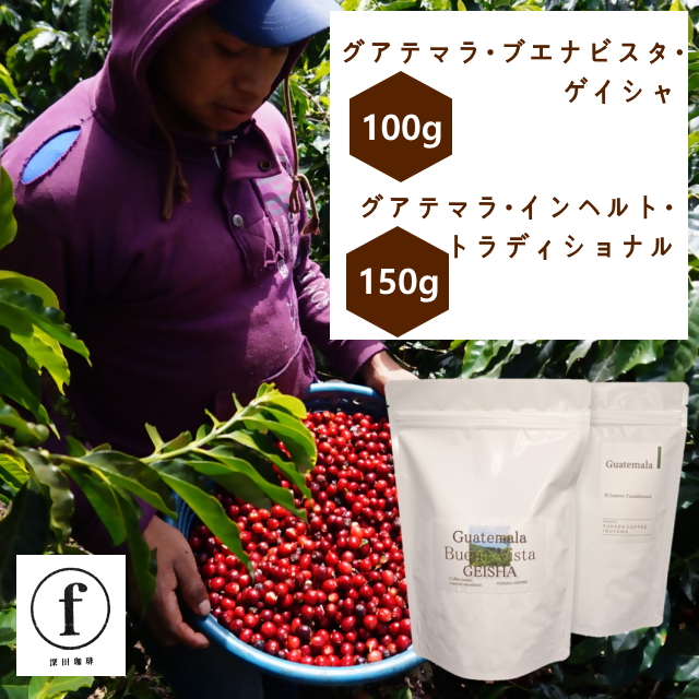 グアテマラ・ブエナビスタ・ゲイシャ100g、グアテマラ・インヘルト・トラディショナル150gのみ比べセット｜ コーヒー 珈琲 コーヒー粉 コーヒー豆 珈琲豆 珈琲粉 自家焙煎 飲料 ゲイシャ GEISHA ドリップ 飲み比べ 深田珈琲 セット