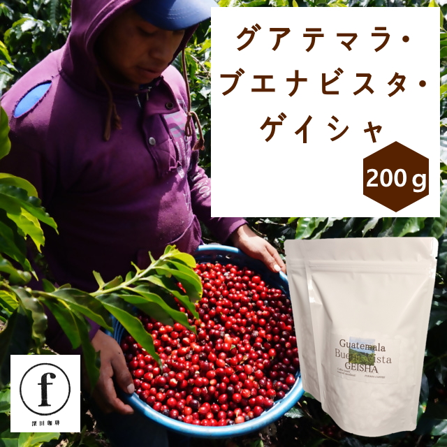 グアテマラ・ブエナビスタ・ゲイシャ100g入×2袋（計200g）｜ コーヒー 珈琲 コーヒー粉 コーヒー豆 珈琲豆 珈琲粉 自家焙煎 飲料 ゲイシャ GEISHA ブエナビスタ 200g 深田珈琲 グアテマラ