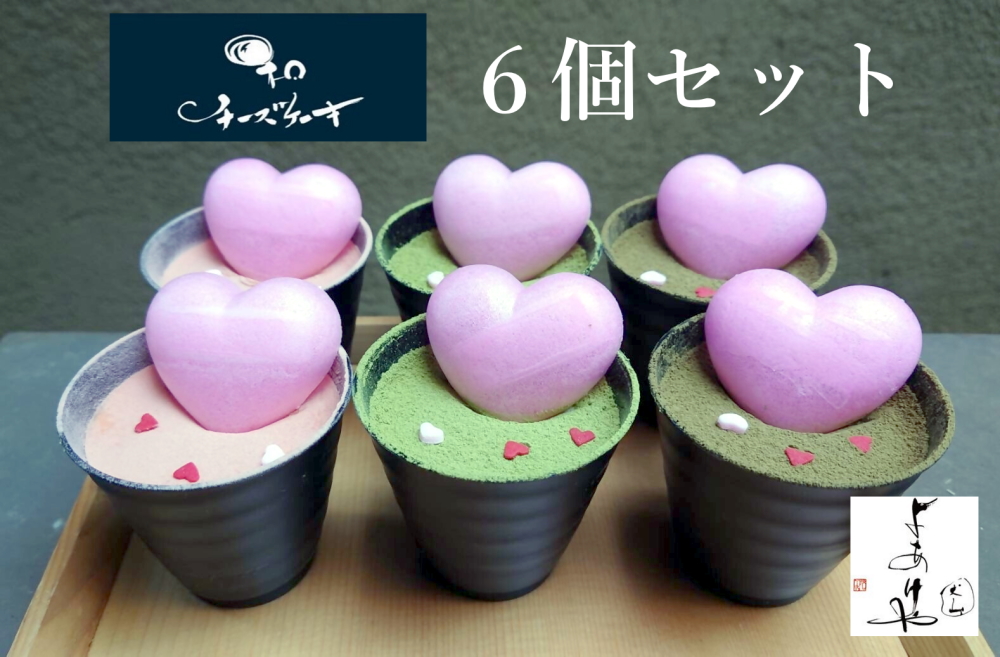 犬山よあけや　和チーズケーキ6個セット｜チーズケーキ 大人のおやつ 洋菓子 スイーツ デザート おやつ お土産 おいしい ご褒美 プレゼント 煎茶 ほうじ茶 いちご 6個 贈答 濃厚 和チーズケーキ 夜明屋 グルテンフリー