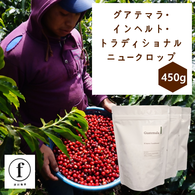 グアテマラ・インヘルト・トラディショナル150g×3袋(計450g)ニュークロップ｜ コーヒー 珈琲 コーヒー粉 コーヒー豆 珈琲豆 珈琲粉 自家焙煎 飲料 インヘルト農園 トラディショナル 450g 深田珈琲 グアテマラ Toraditional El Injerto