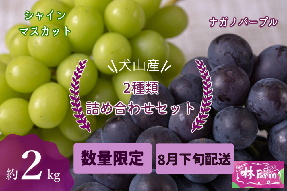 【期間限定・数量限定】犬山産 シャインマスカット＆ナガノパープル2種類詰め合わせ 約2キロ（先行予約） ｜ ぶどう 甘い 2キロ 限定 夏 林ファーム 房 ブドウ ナガノパープル 犬山 ご自宅用 ご褒美 贈答 プレゼント シャインマスカット 種なし