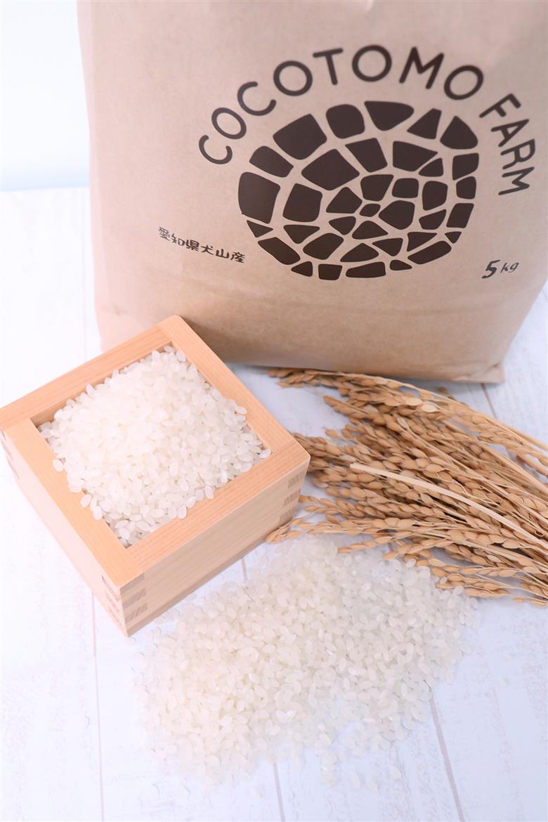 【お米農家のお米１０kg】つきたてのお米をお届け（５kg×２袋）＊ココトモファームで育てたお米｜米 10kg 10キロ お米 犬山 愛知産 愛知県産 あいちの米 愛知県の特産品 特産品 あいちのかおり 品種 ココトモファーム つきたて 精米 農家 産地直送